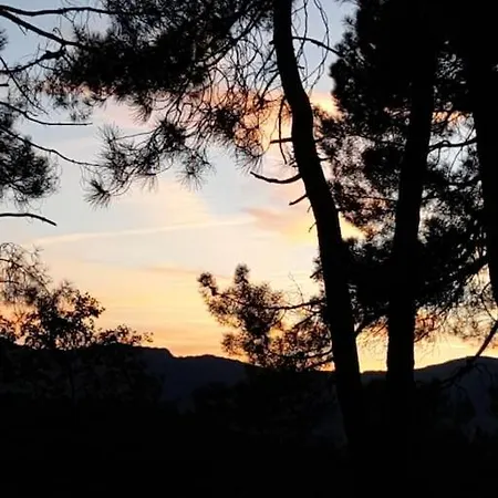 Apartamento Le Chausse A Bres D'hotes 2 Payzac (Ardeche)